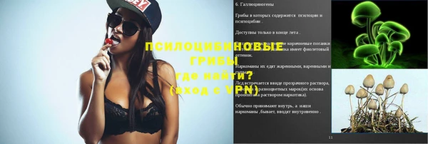 таблы Алексин