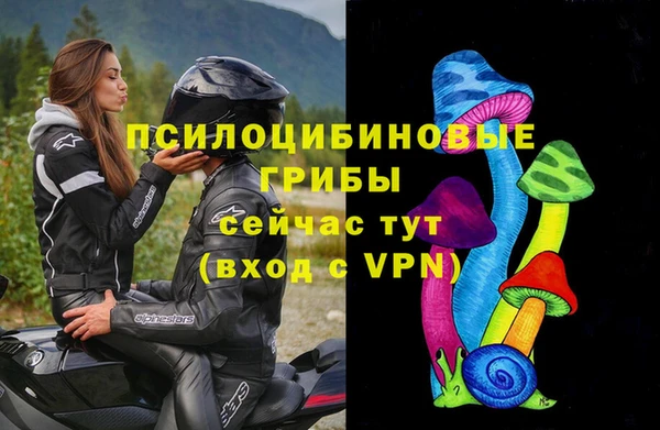 СК Абинск